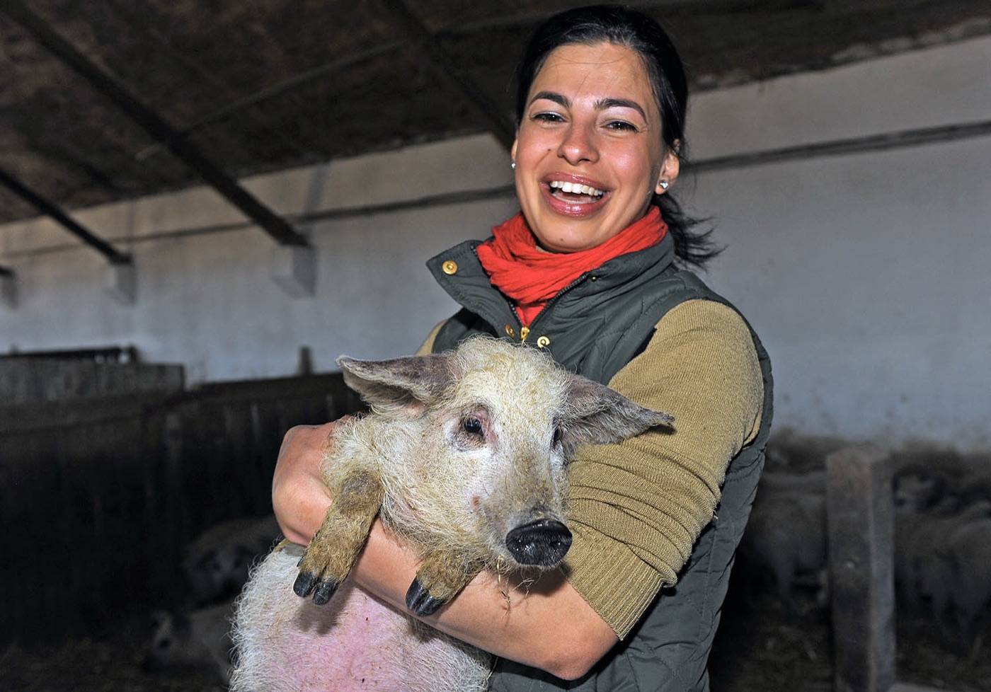 Fekete Zsóka nevetve egy mangalica malacot tart a karjában